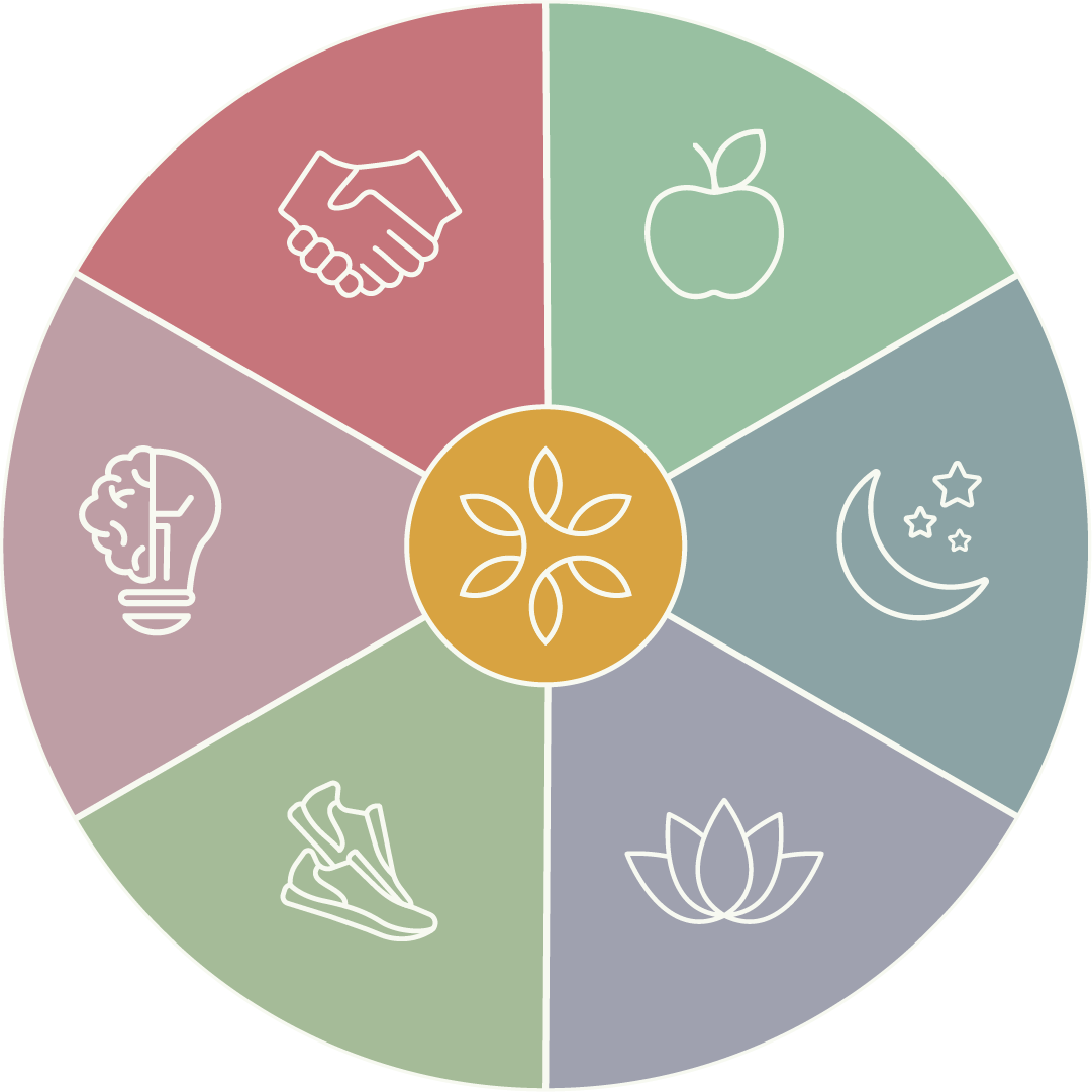 Reboot Your Health Course icon