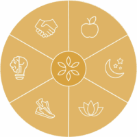 30 Days to Whole Health